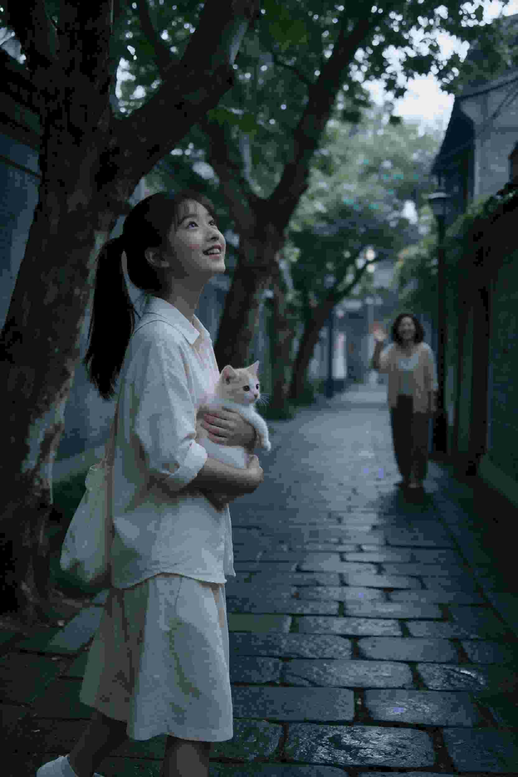 其他杂志